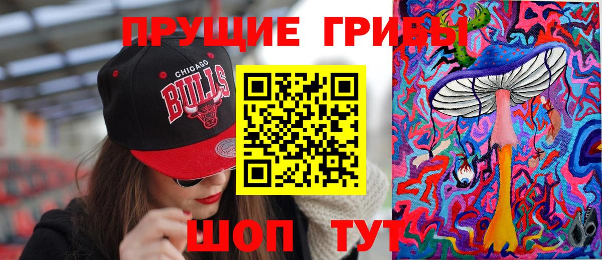 Галлюциногенные грибы мицелий Сосновый Бор